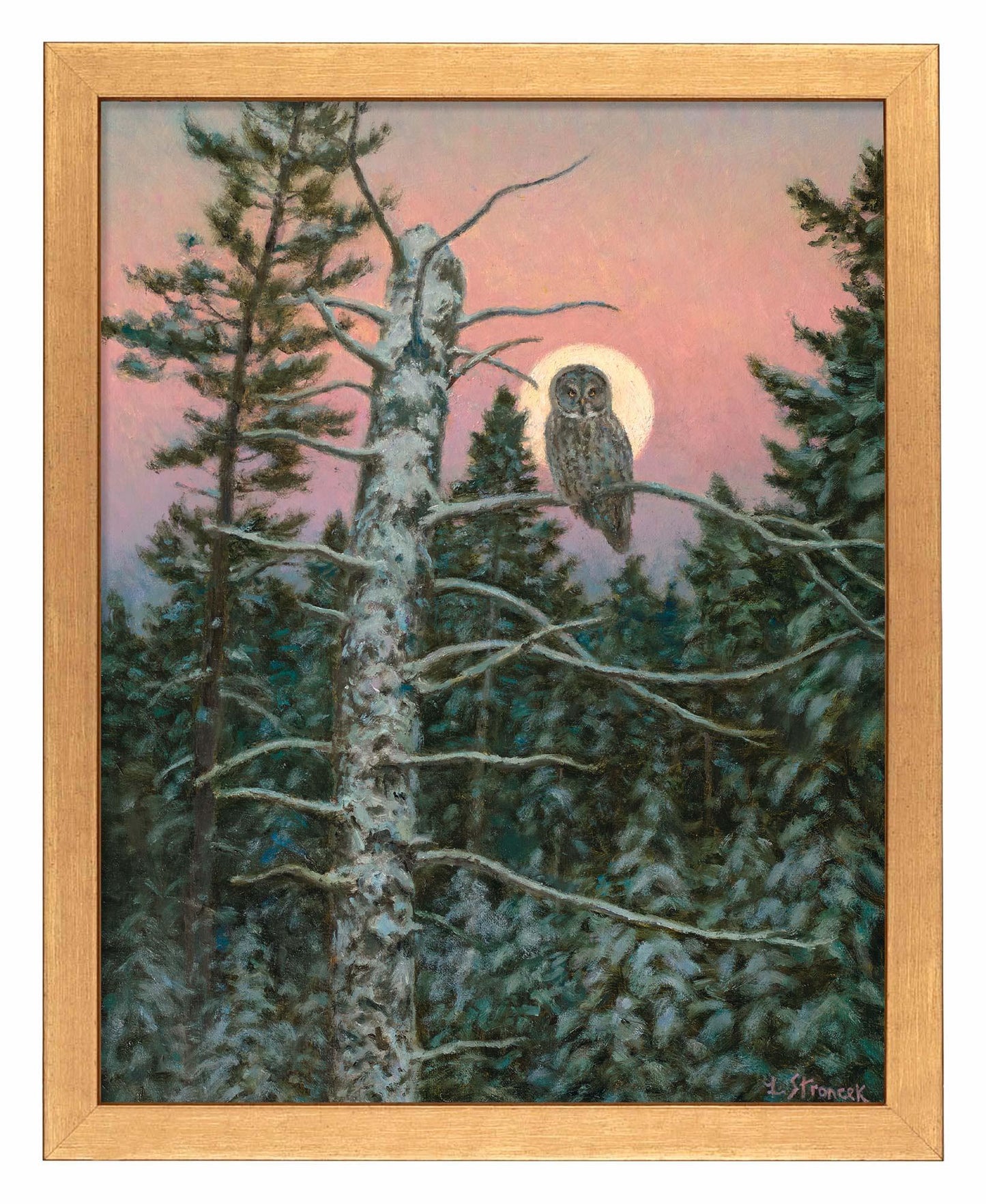 Great Gray Hunter