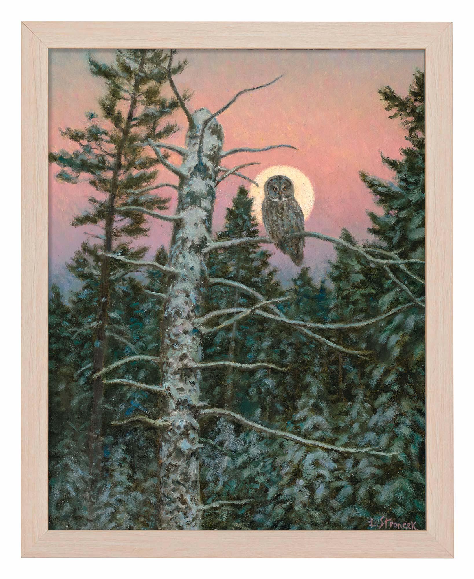 Great Gray Hunter Art Print - Wild Wings