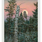 Great Gray Hunter Art Print - Wild Wings