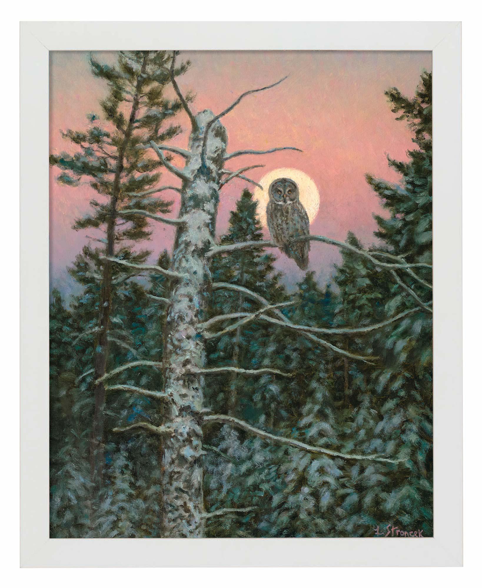 Great Gray Hunter Art Print - Wild Wings