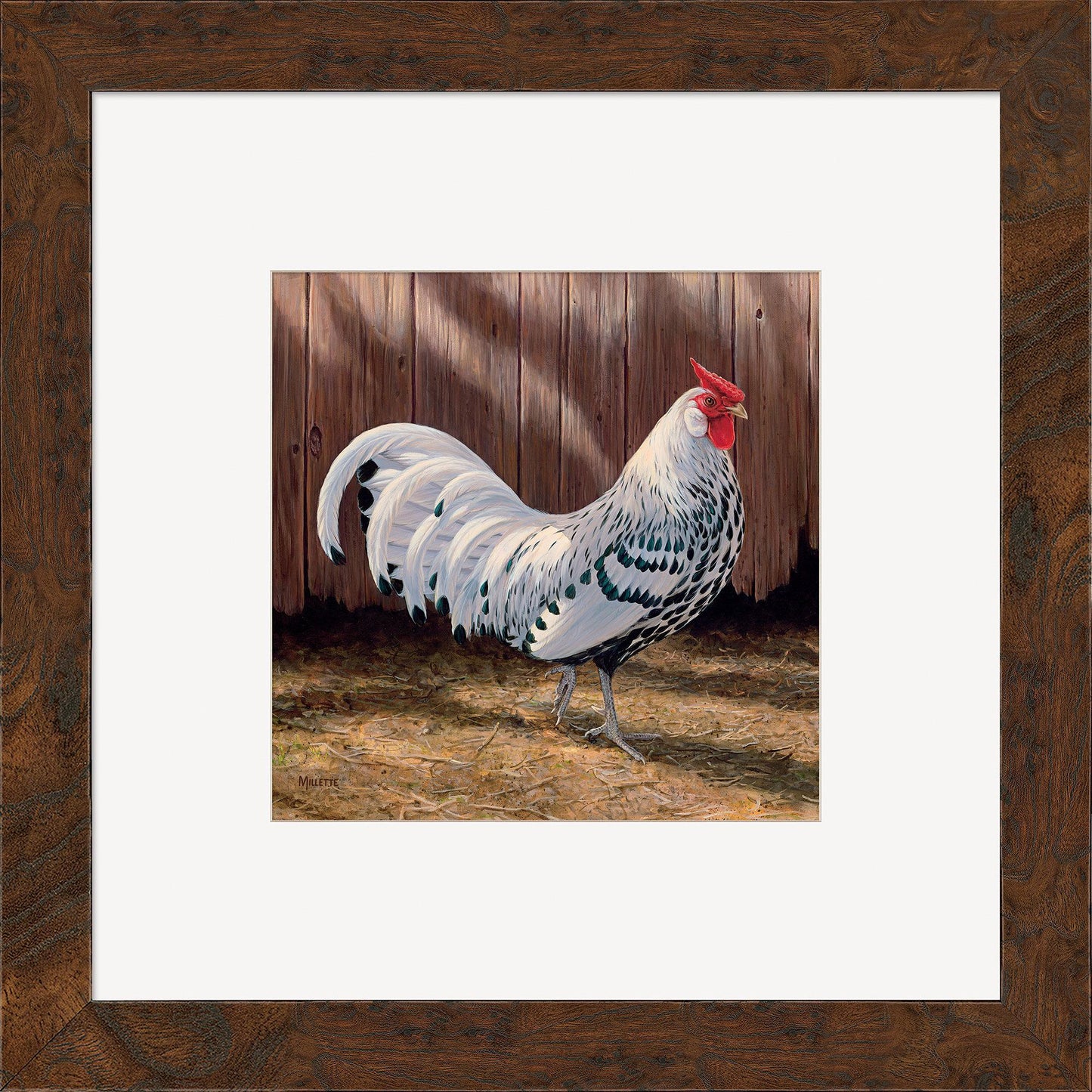 Hamburg Rooster Contempo Square - Wild Wings