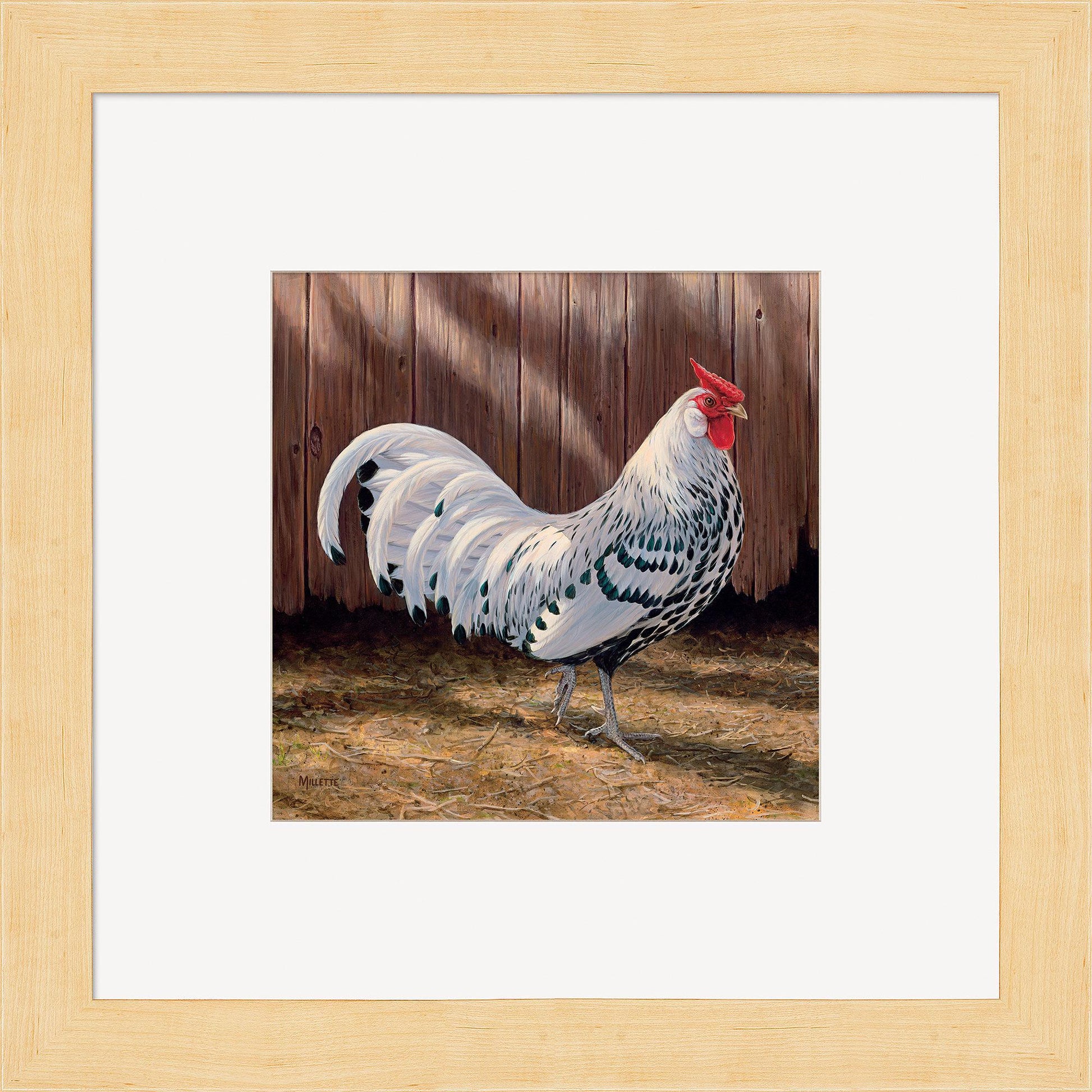 Hamburg Rooster Contempo Square - Wild Wings
