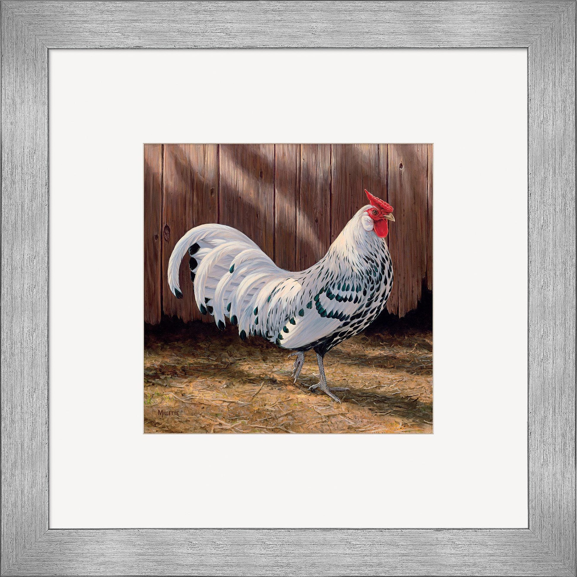 Hamburg Rooster Contempo Square - Wild Wings