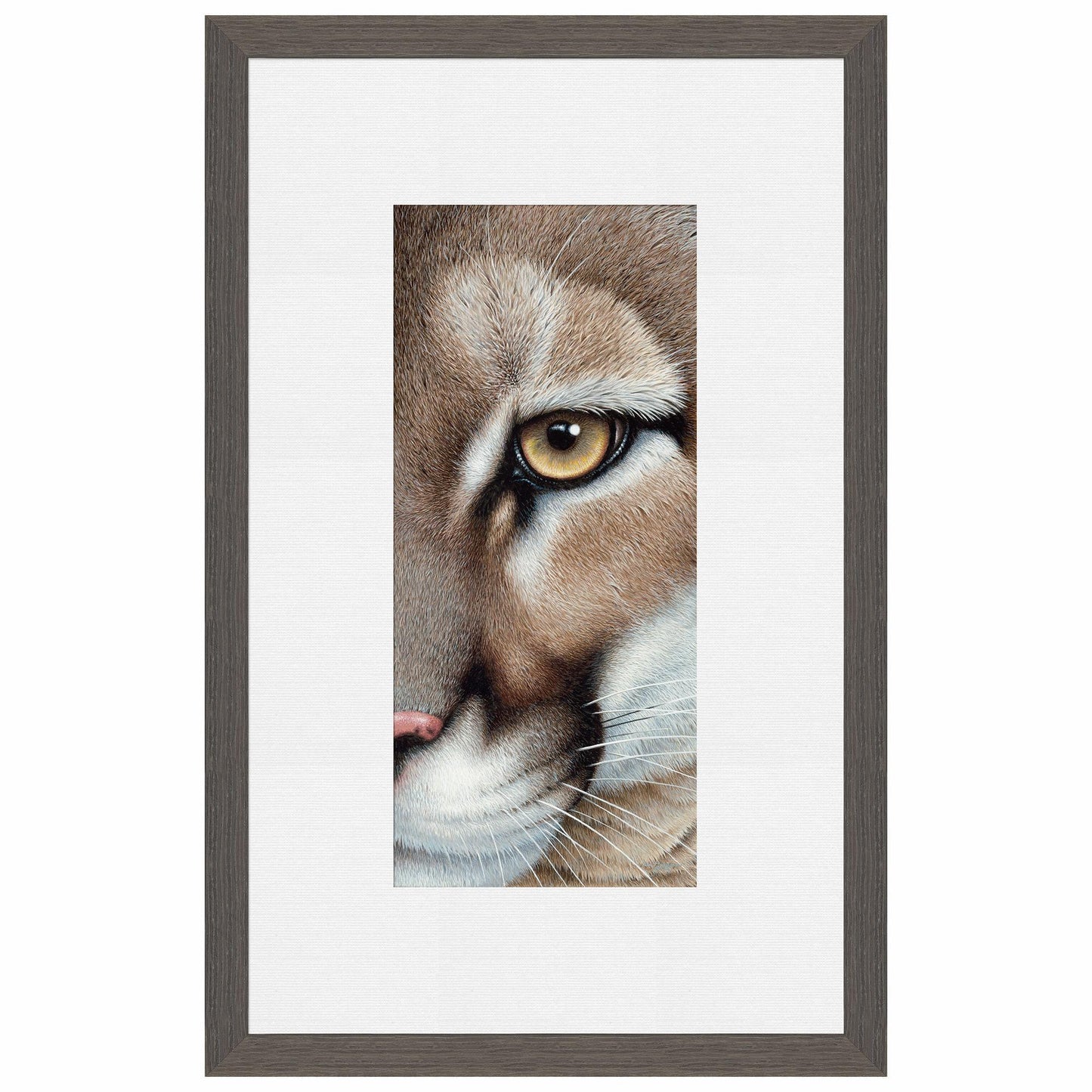 Intense - Mountain Lion Paper Print - Wild Wings
