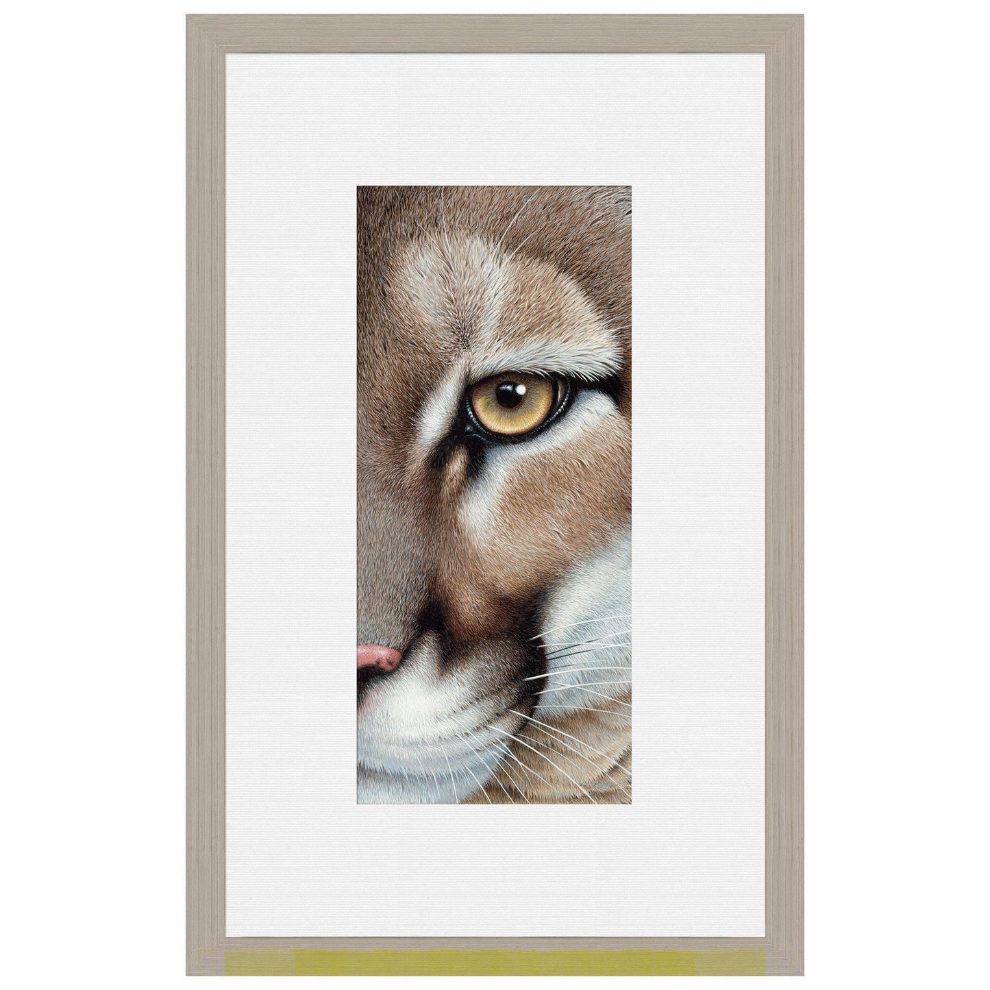 Intense - Mountain Lion