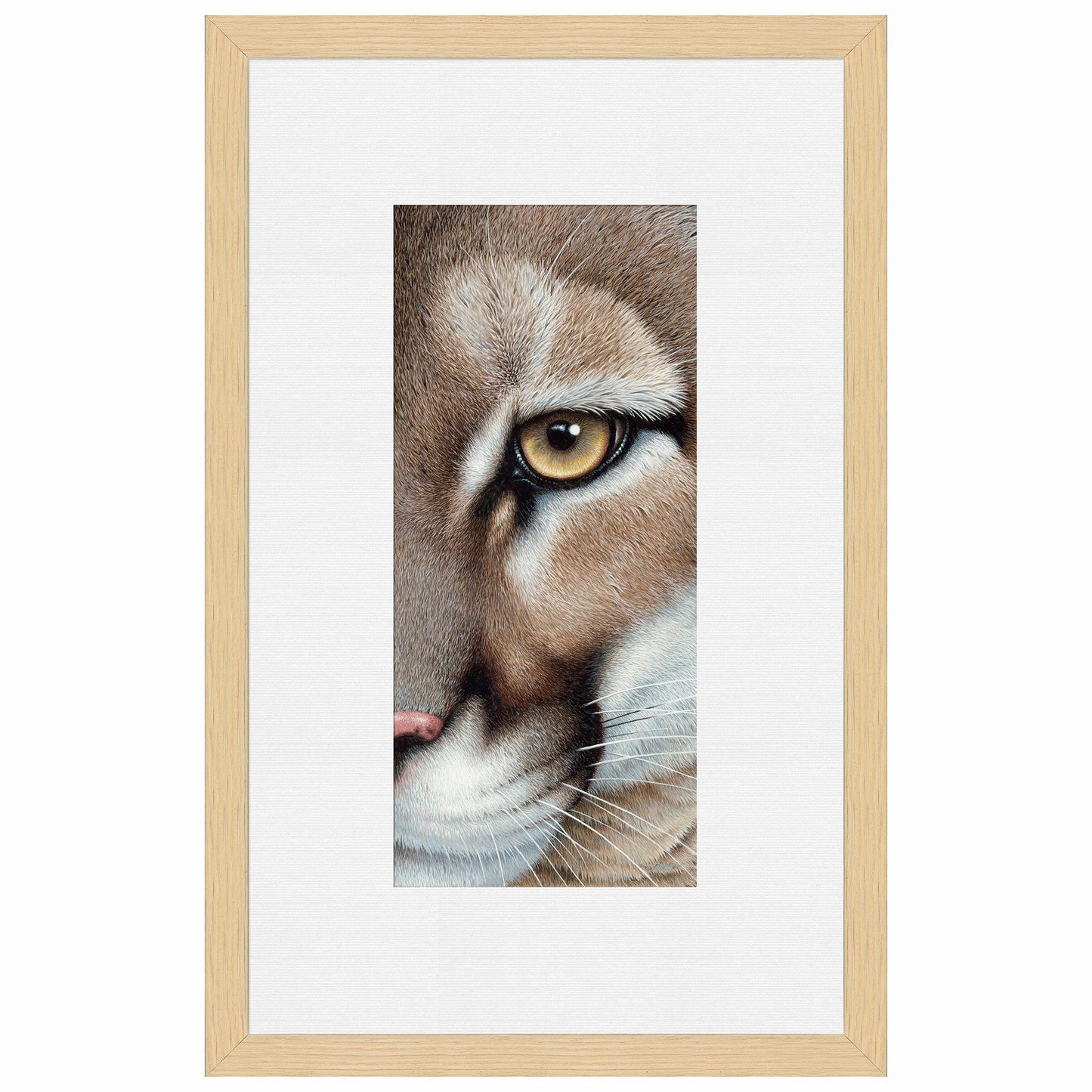 Intense - Mountain Lion Paper Print - Wild Wings
