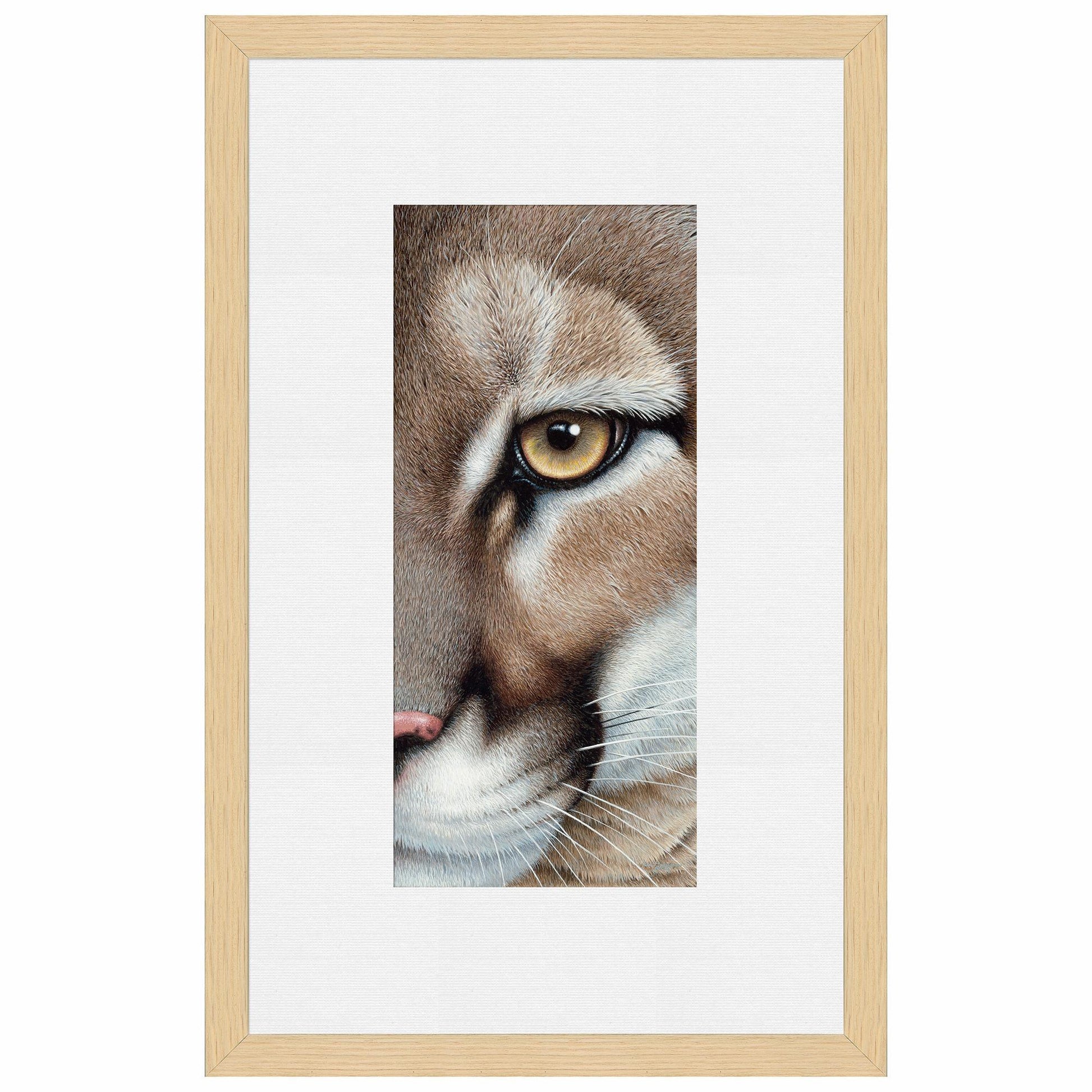 Intense - Mountain Lion Paper Print - Wild Wings