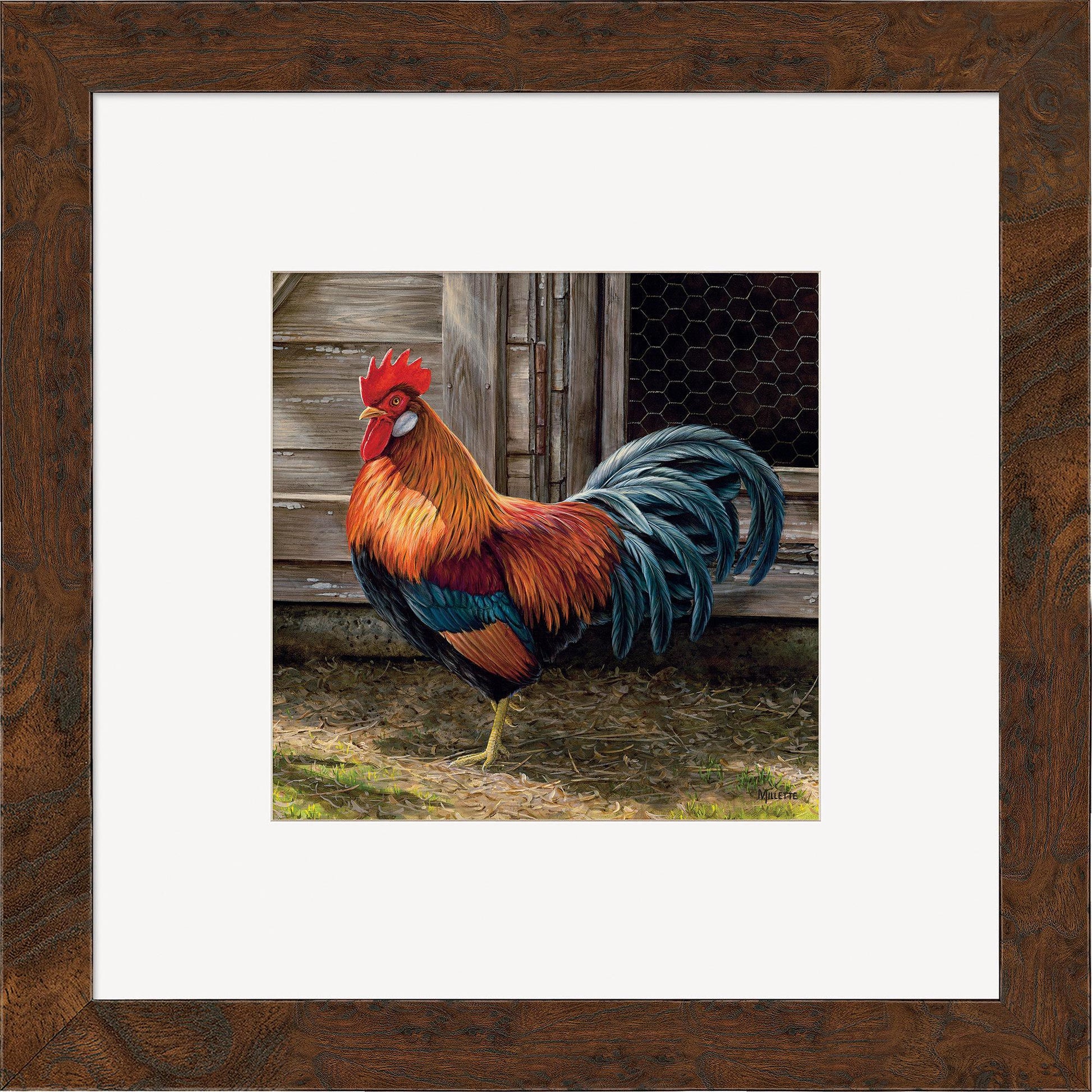 Leghorn Rooster Contempo Square - Wild Wings