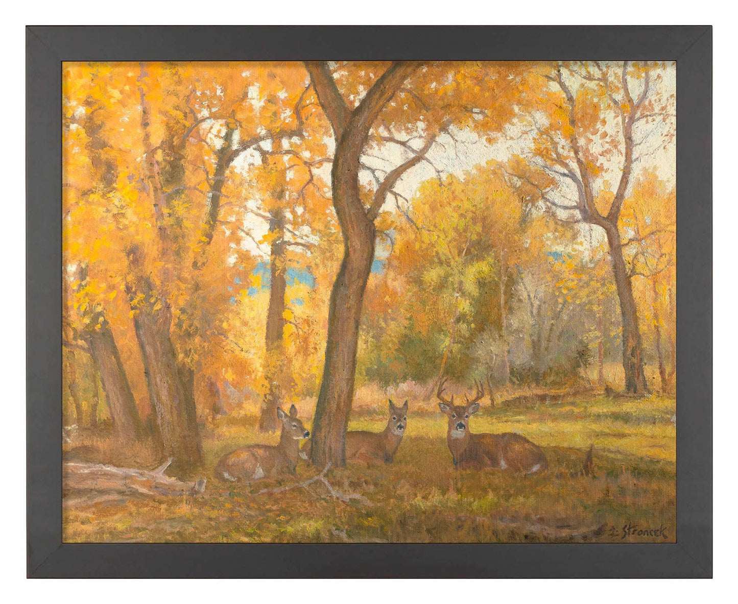 River Bottom Autumn Art Print - Wild Wings