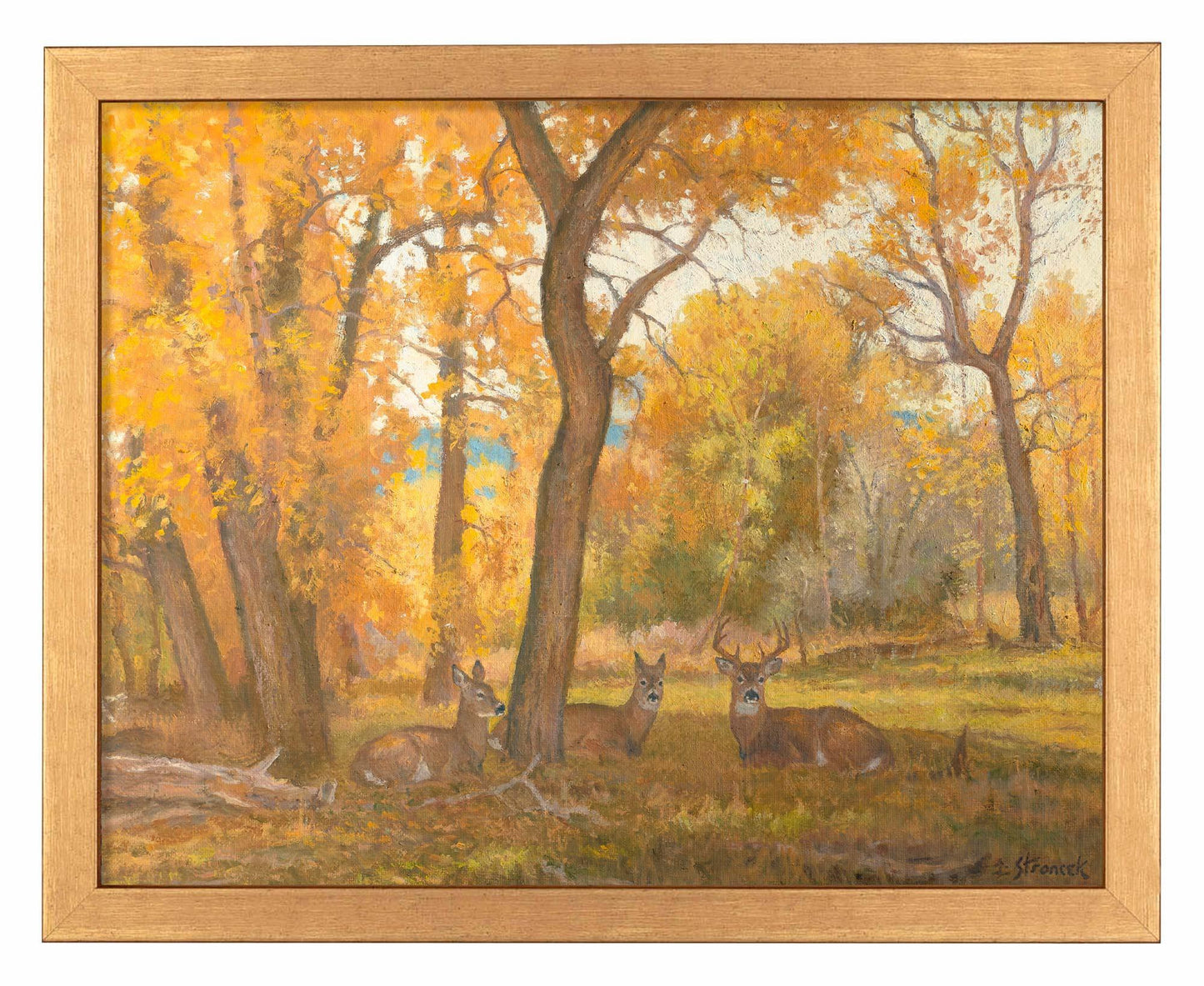 River Bottom Autumn