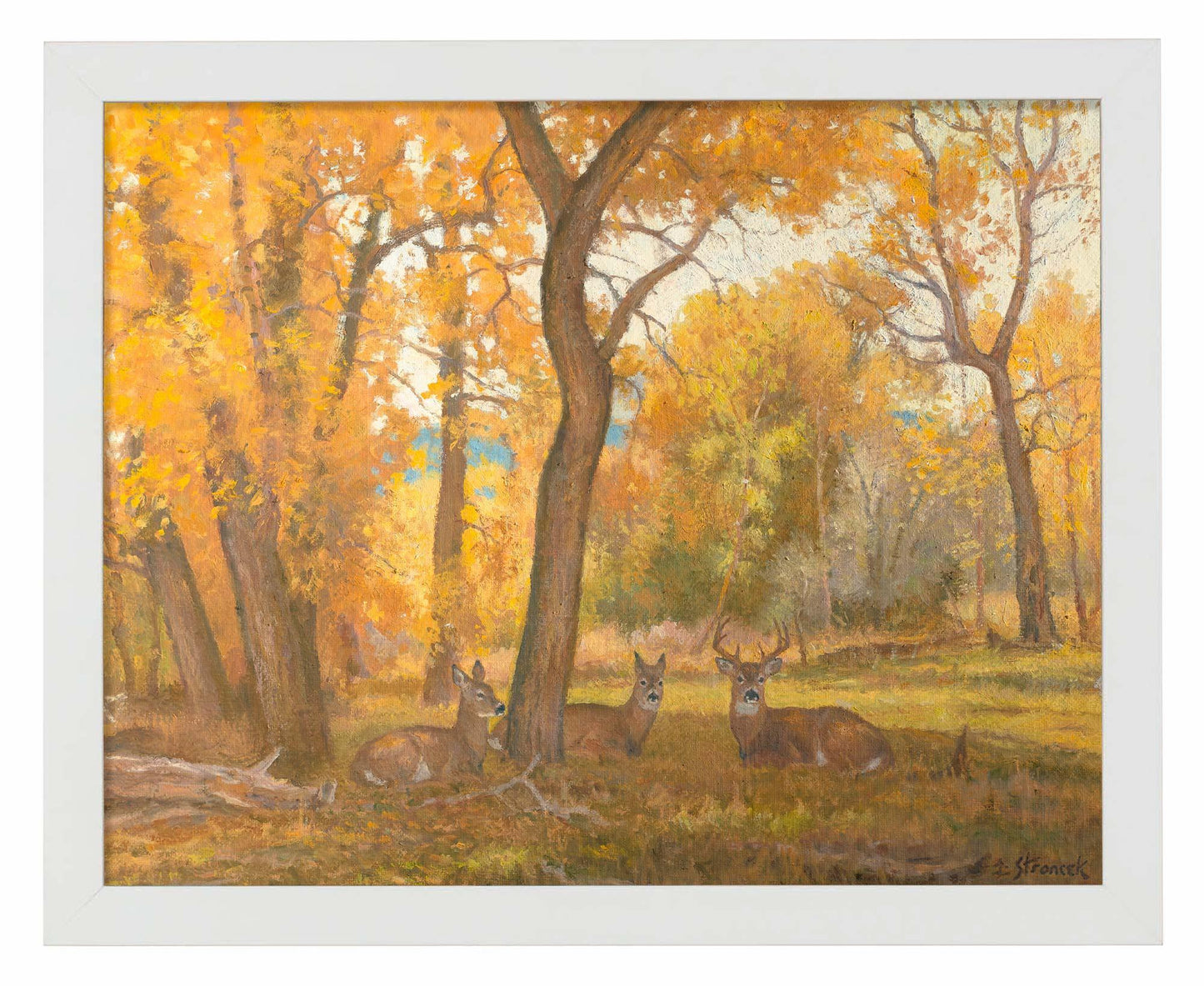 River Bottom Autumn Art Print - Wild Wings