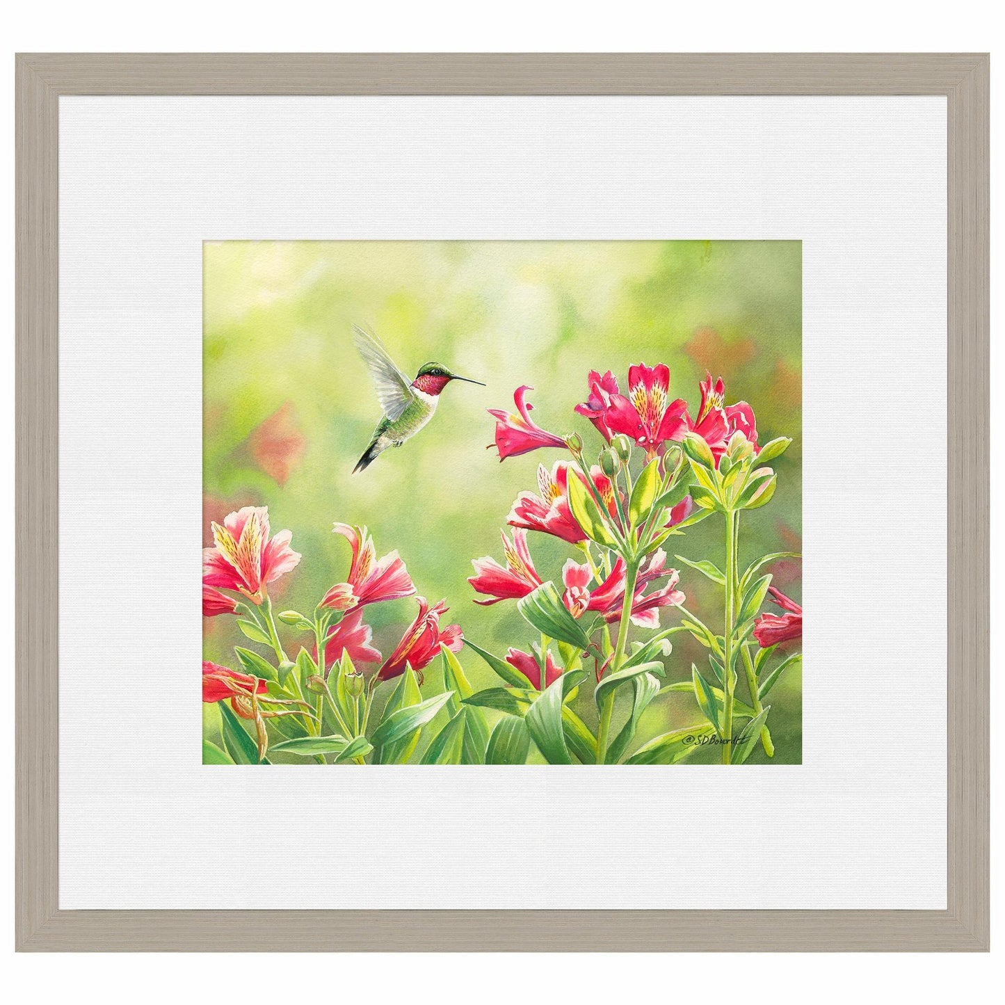 Ruby Throat & Freesias