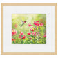 Ruby Throat & Freesias Paper Print - Wild Wings