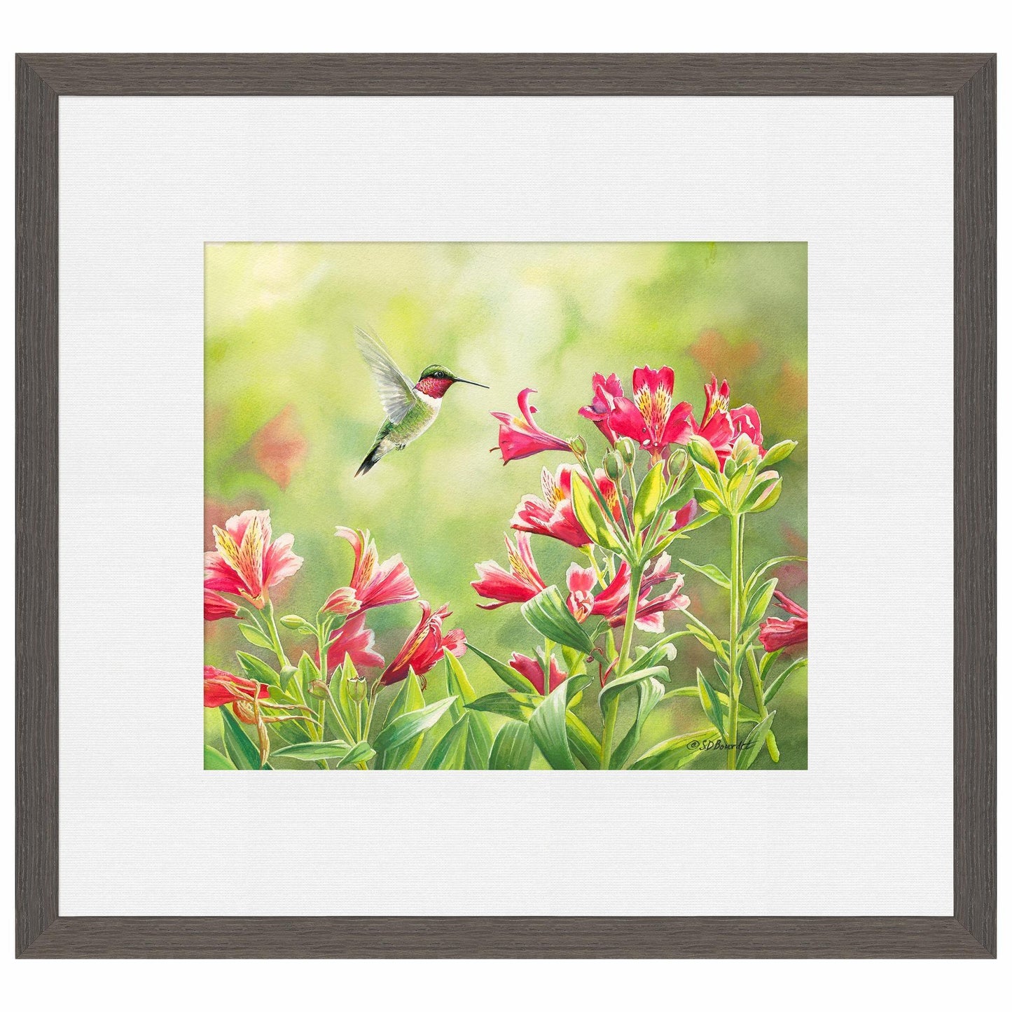 Ruby Throat & Freesias Paper Print - Wild Wings