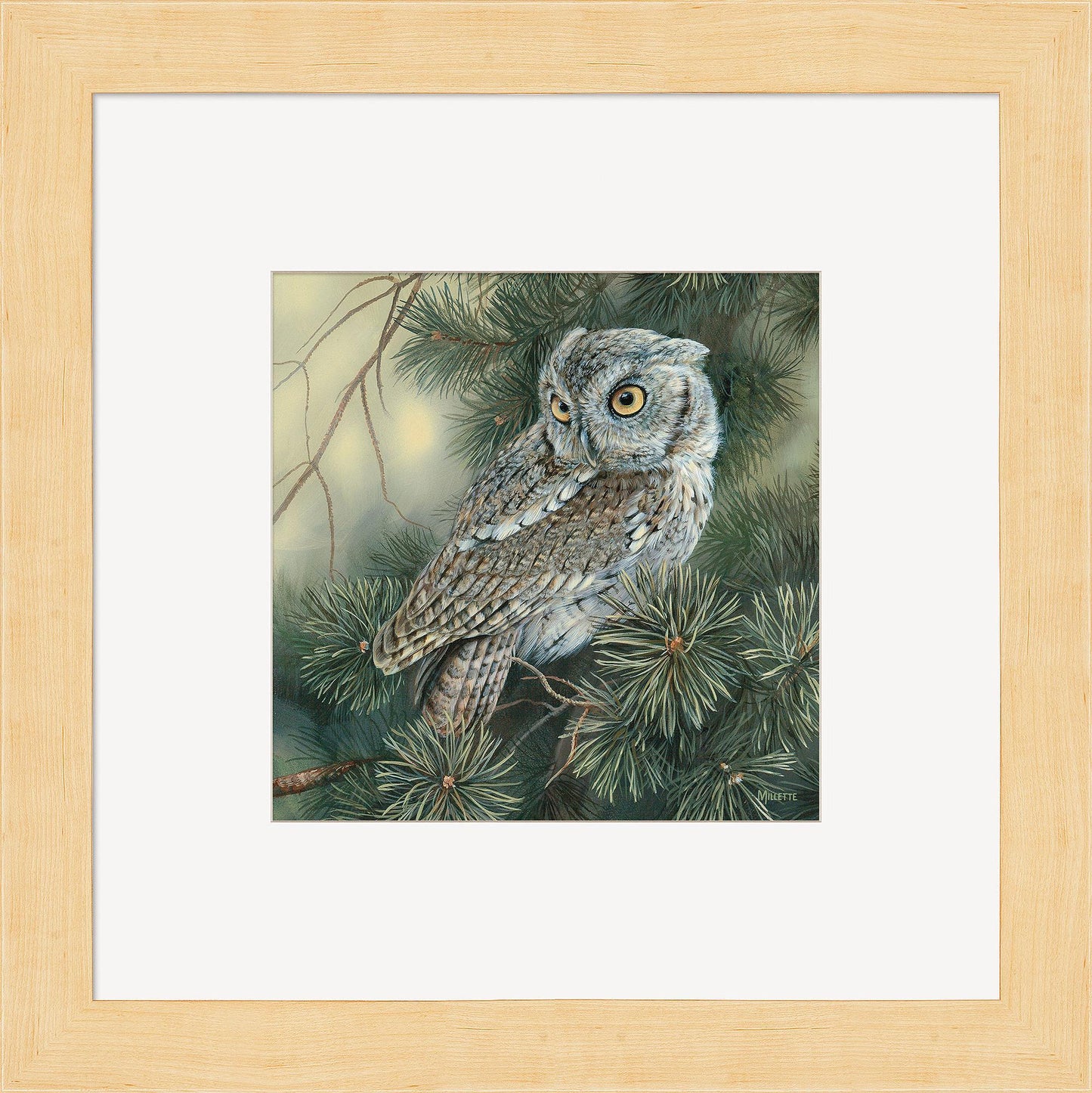 Screech Owl Contempo Square - Wild Wings