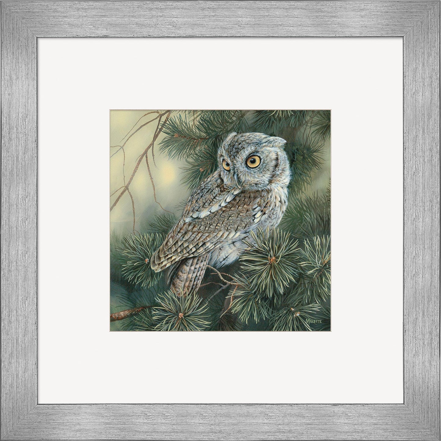 Screech Owl Contempo Square - Wild Wings