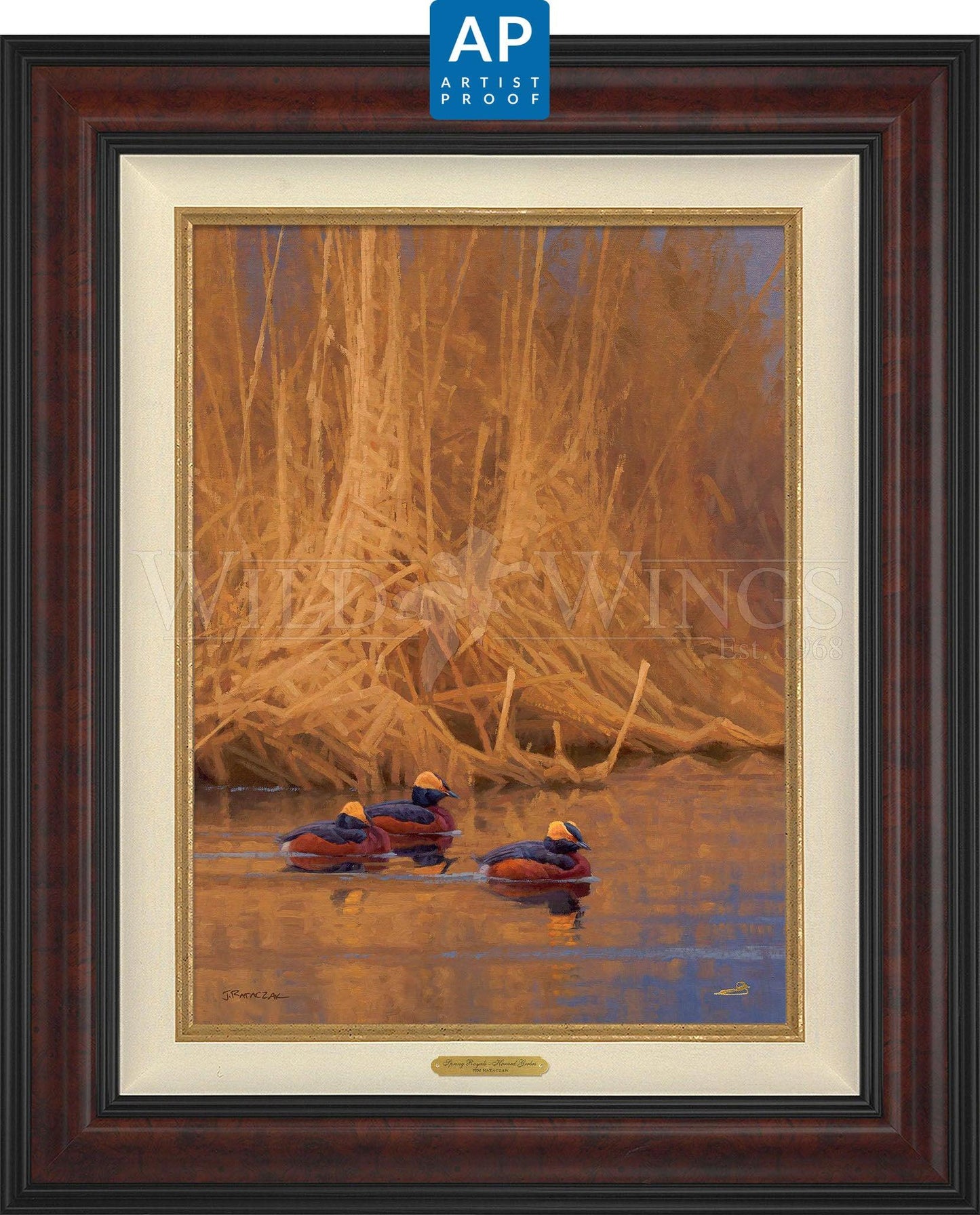 Spring Royals—Horned Grebes; Artist Proof Edition (AP) Master Artisan Canvas - Wild Wings