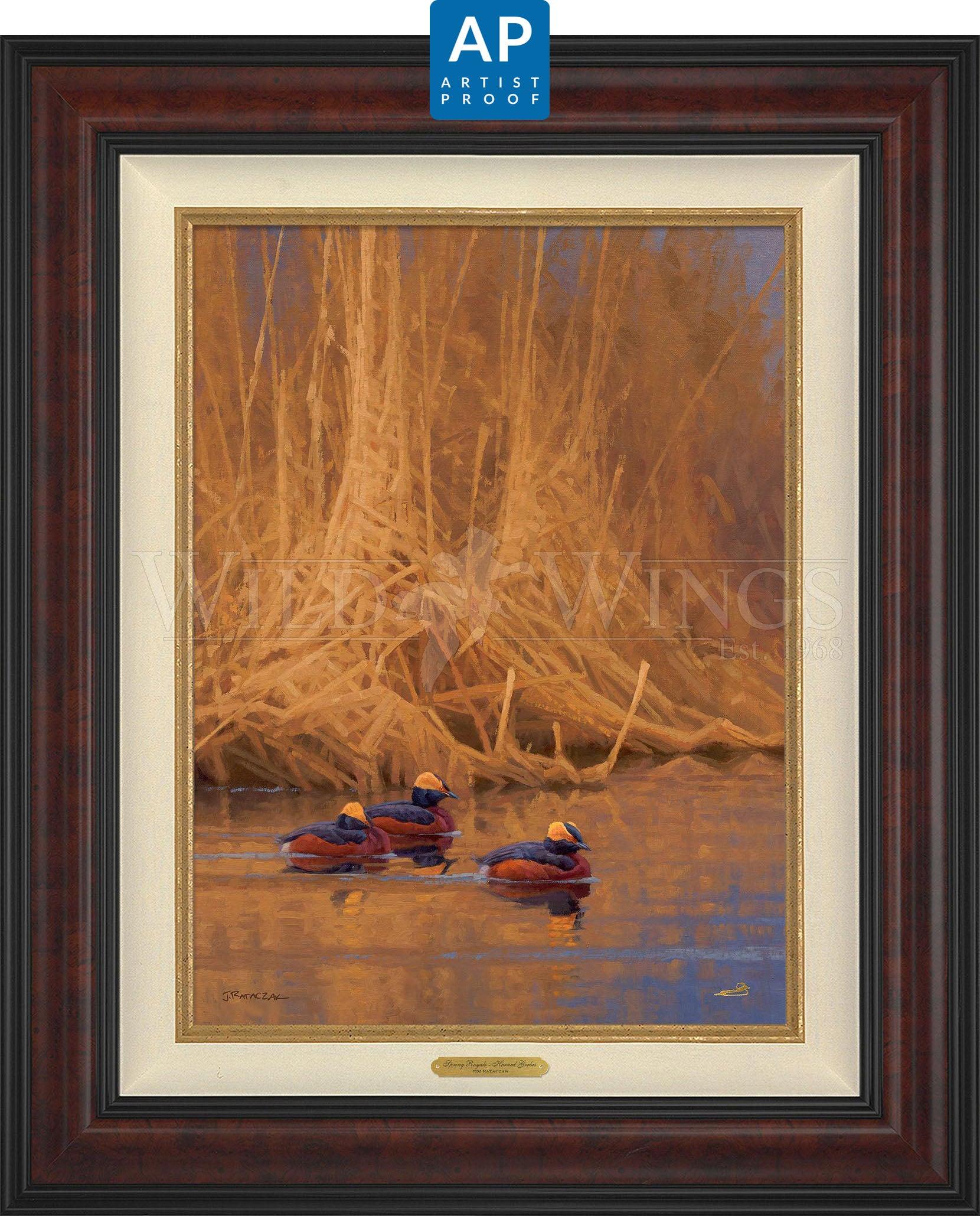 Spring Royals—Horned Grebes; Artist Proof Edition (AP) Master Artisan Canvas - Wild Wings