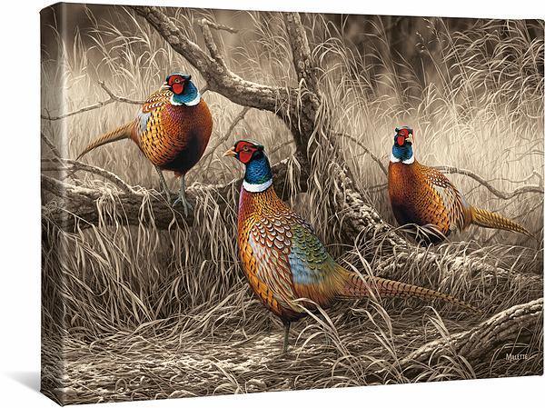 First Dusting—Pheasants Gallery Wrapped Canvas - Wild Wings