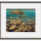 First to the Fly—Brook Trout