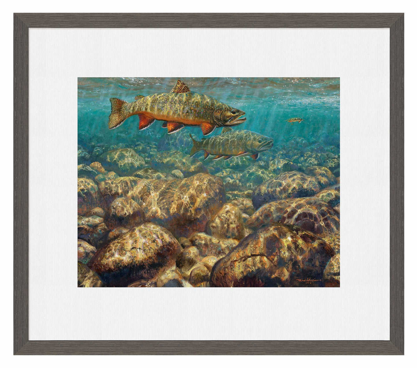 First to the Fly—Brook Trout