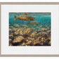 First to the Fly—Brook Trout Limited Edition Paper Print - Wild Wings