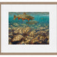 First to the Fly—Brook Trout