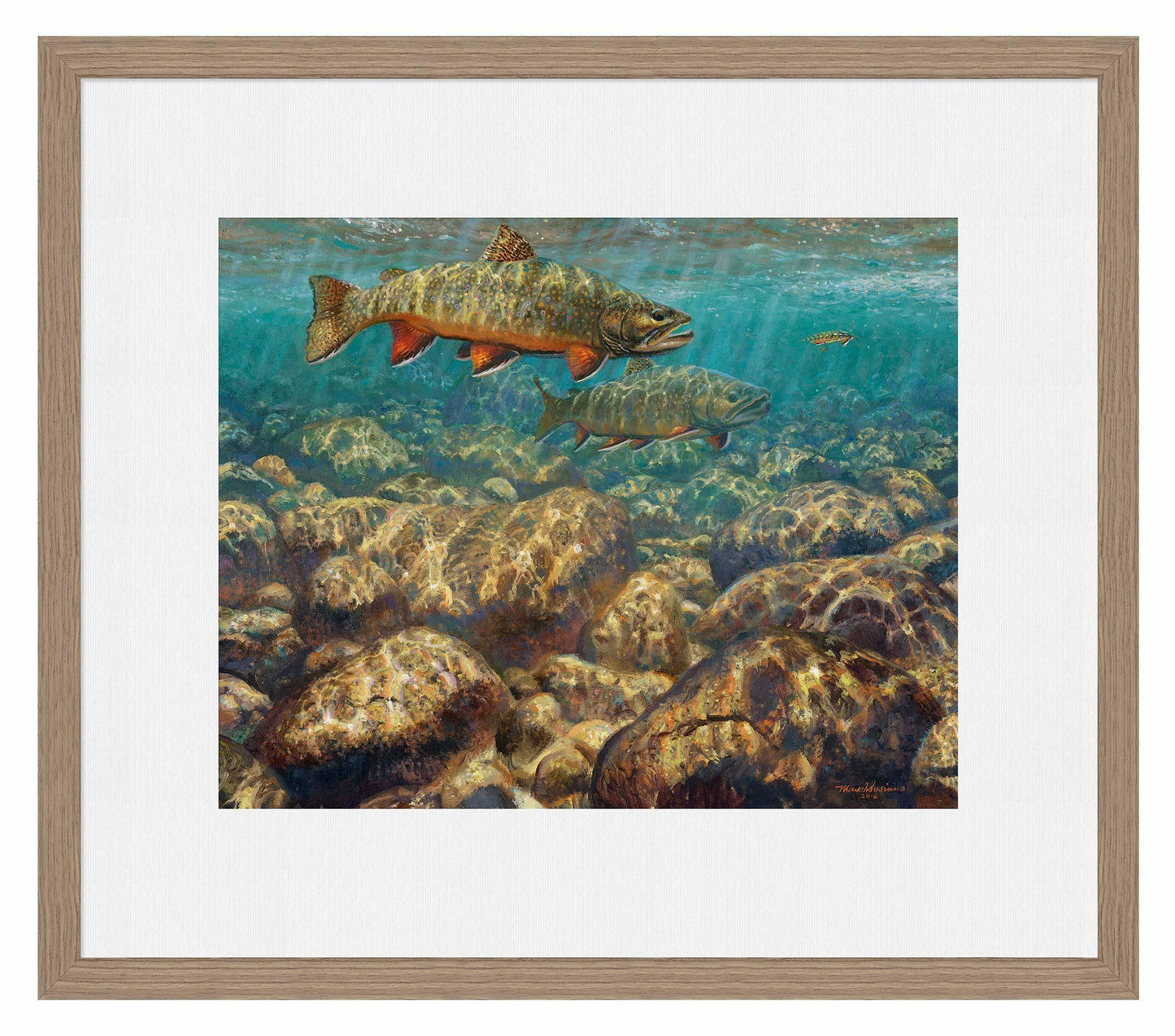 First to the Fly—Brook Trout