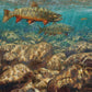 First to the Fly—Brook Trout Limited Edition Paper Print - Wild Wings