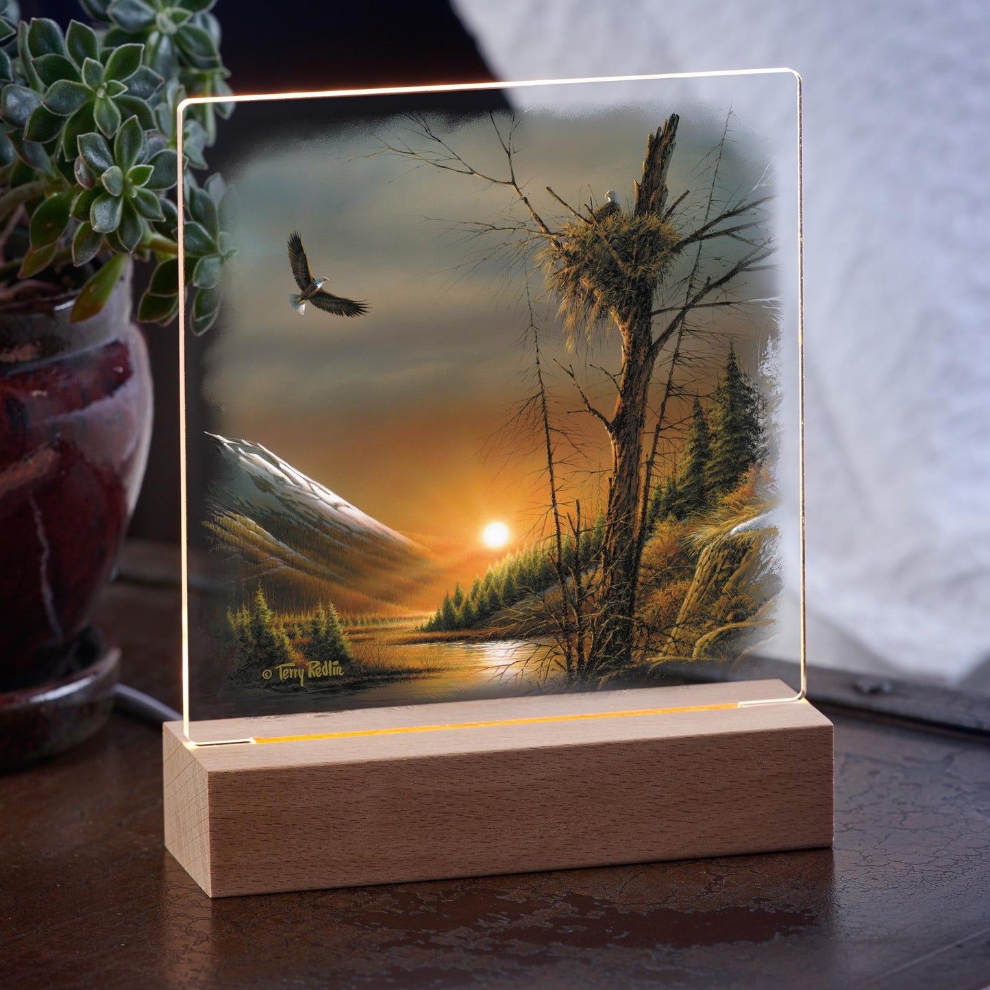 Flying Free—Bald Eagle Acrylic Night Light - Wild Wings