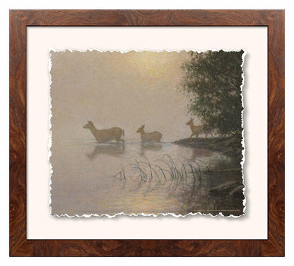 Fog Effect—Whitetail Deer Deckled Edge Paper Print - Wild Wings