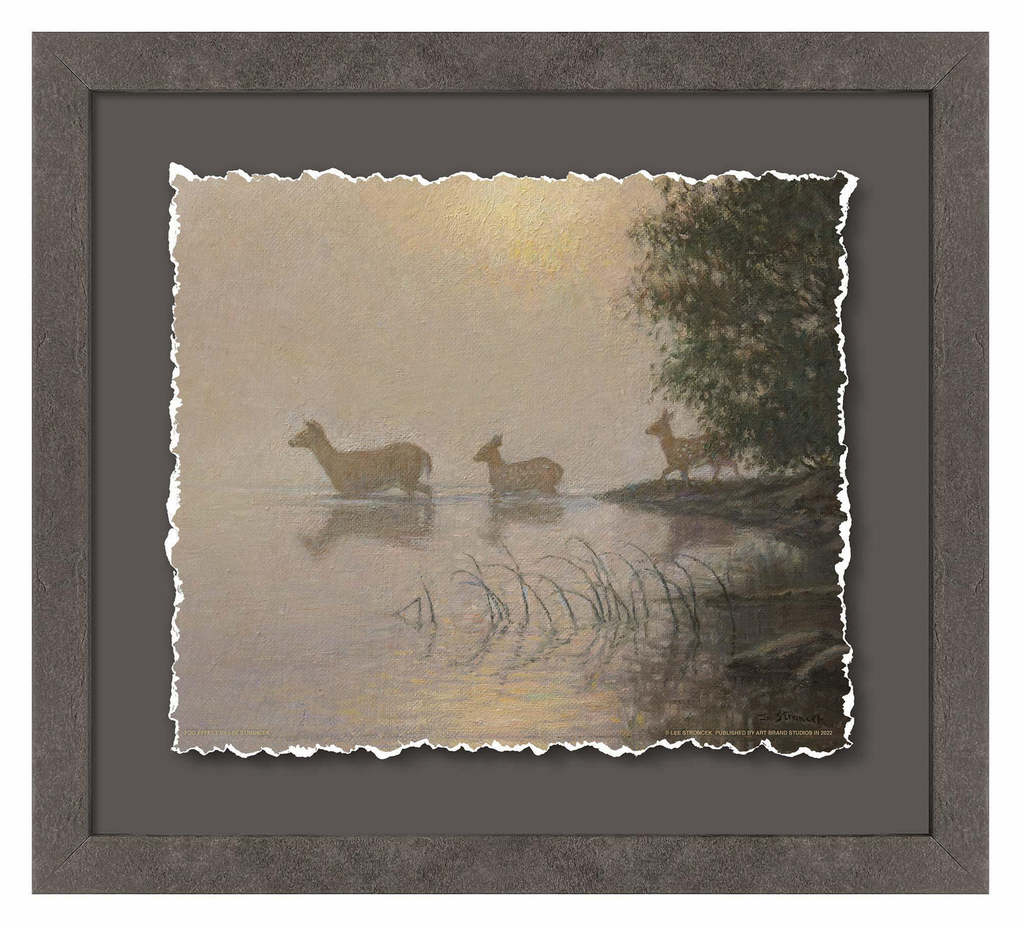 Fog Effect—Whitetail Deer
