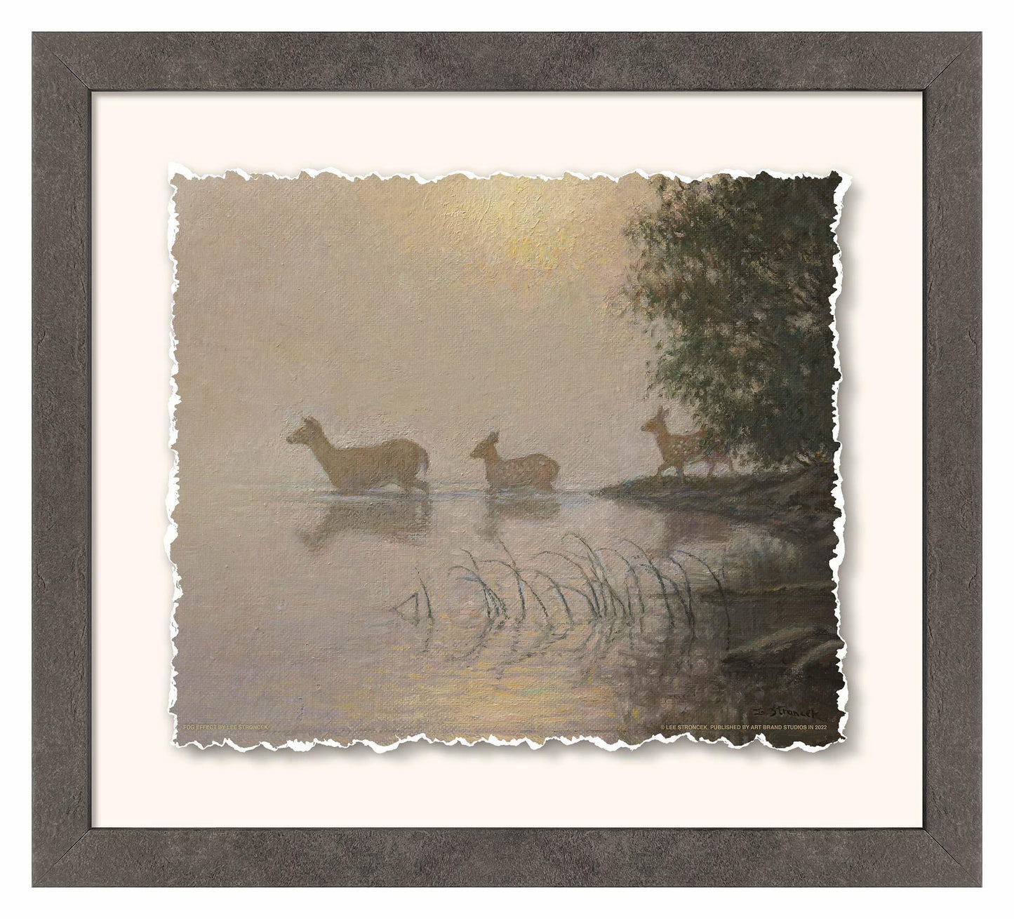 Fog Effect—Whitetail Deer