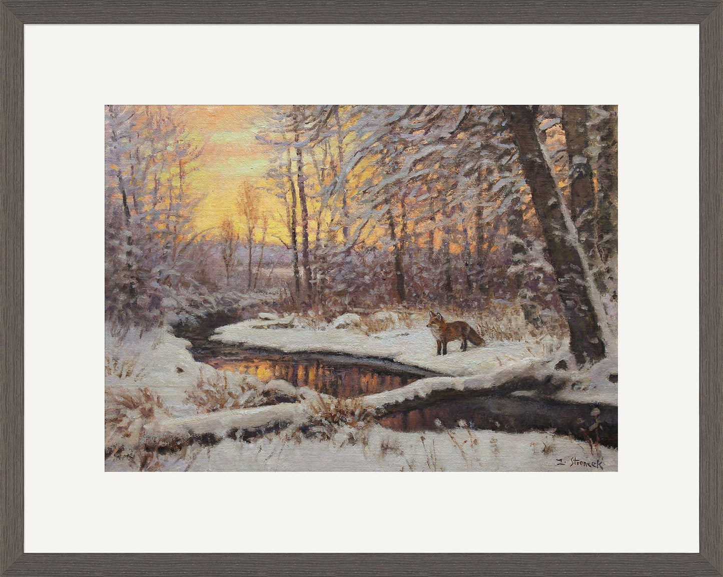 Fox at Evening—Bridger Creek Limited Edition Paper Print - Wild Wings
