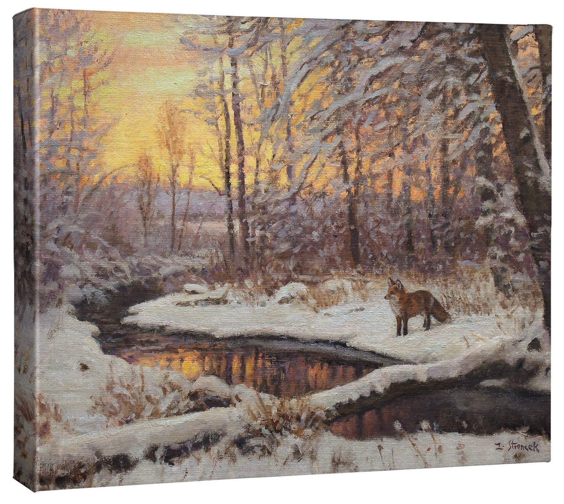Fox at Evening Creek Gallery Wrapped Canvas - Wild Wings