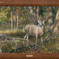 Shadowland—Deer Framed Gallery Canvas - Wild Wings