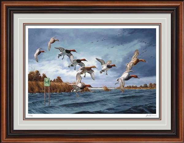 Fruits of Your Labor—Canvasbacks Art Collection - Wild Wings