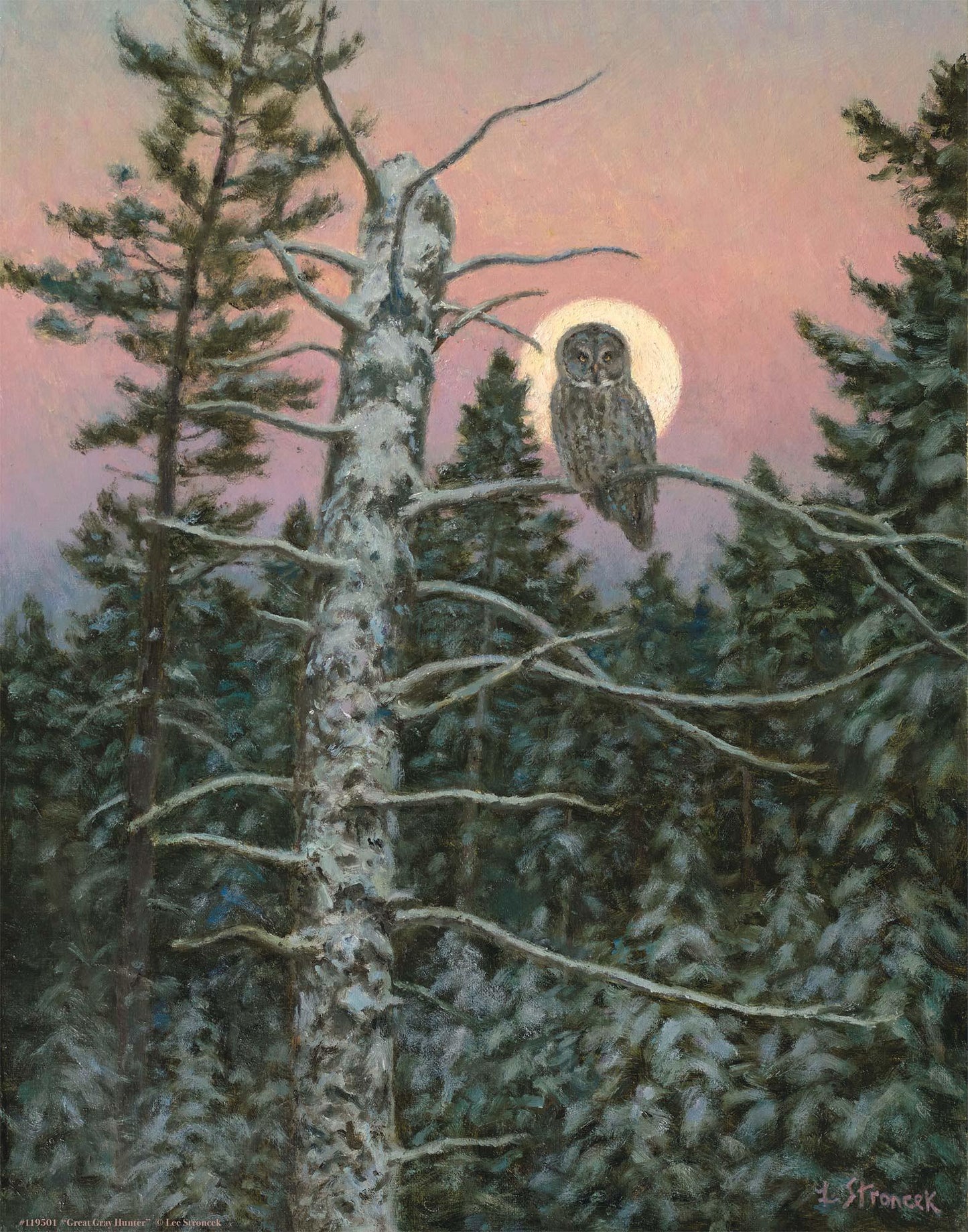 Great Gray Hunter Art Print - Wild Wings