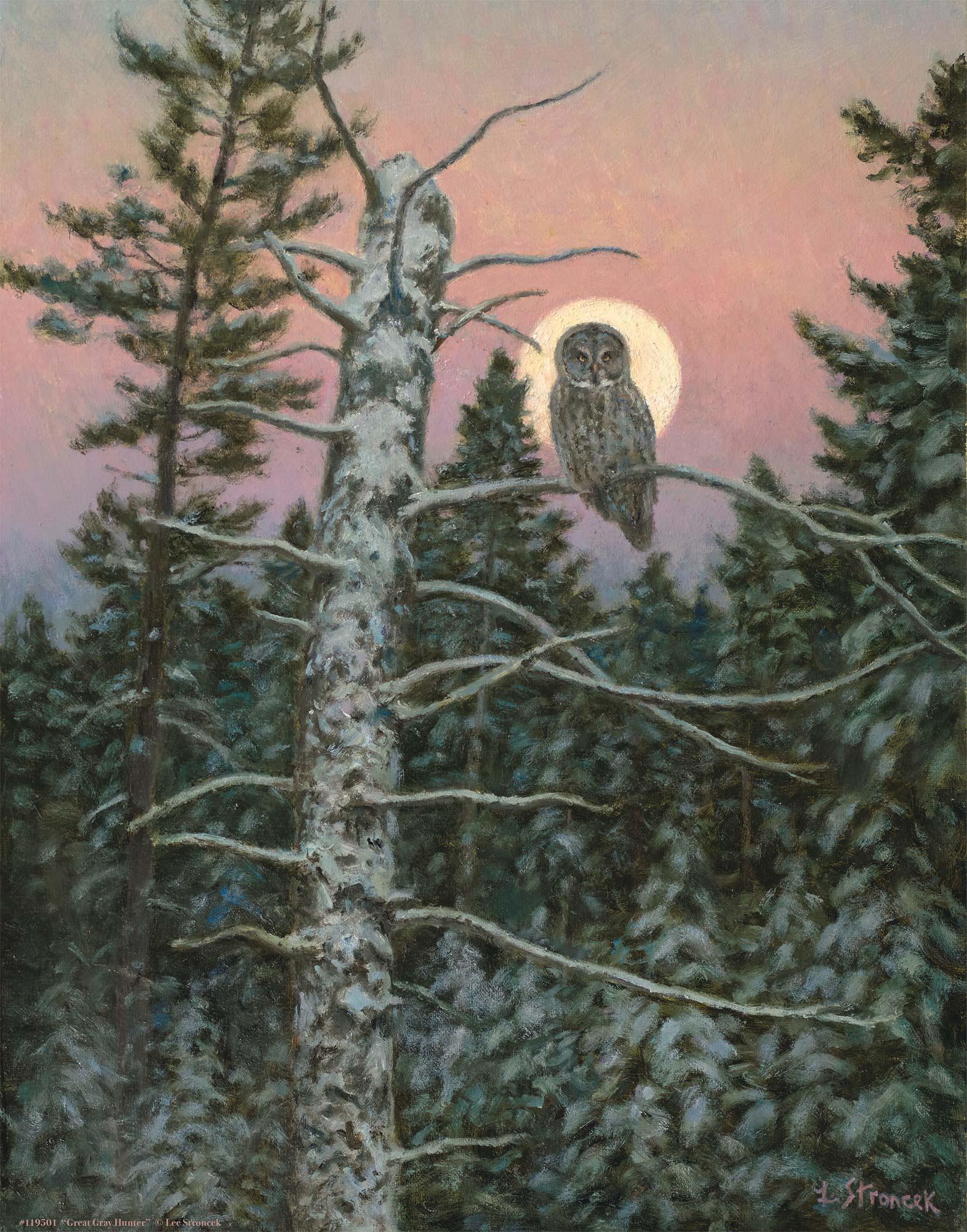 Great Gray Hunter Art Print - Wild Wings