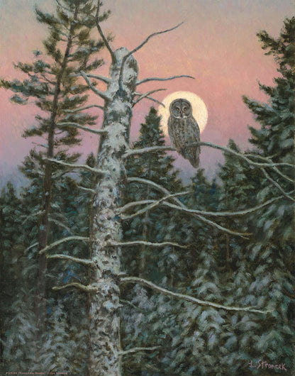Great Gray Hunter Art Print - Wild Wings