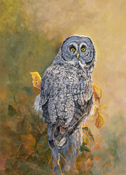 Great Gray Owl Limited Edition Paper Print - Wild Wings