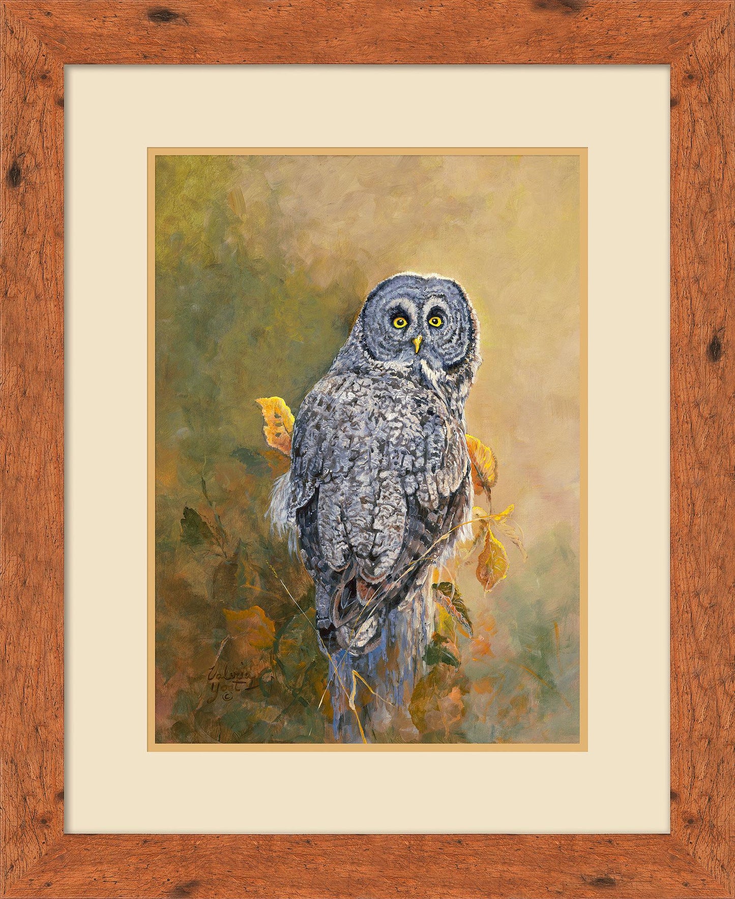 Great Gray Owl Limited Edition Paper Print - Wild Wings
