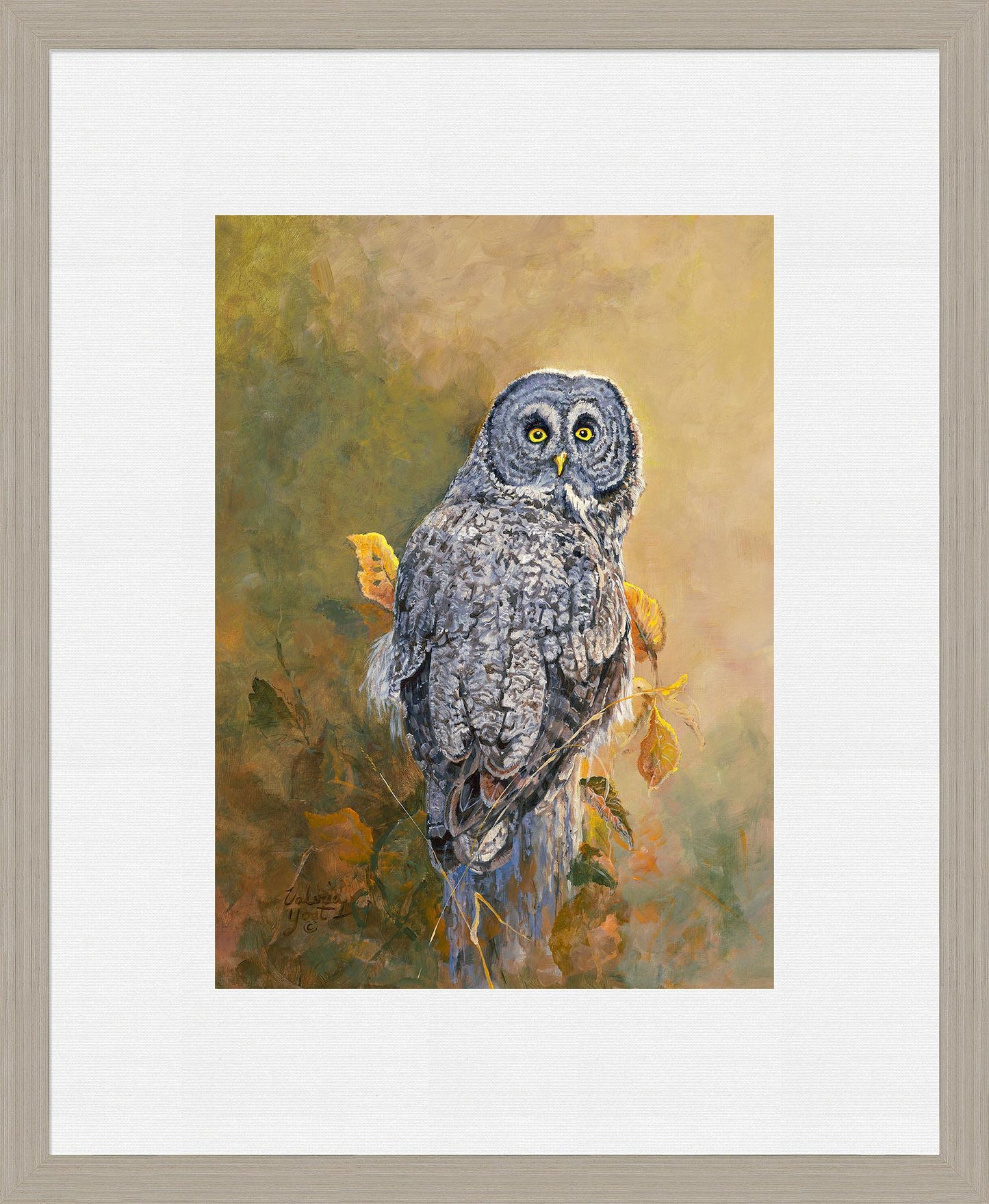 Great Gray Owl
