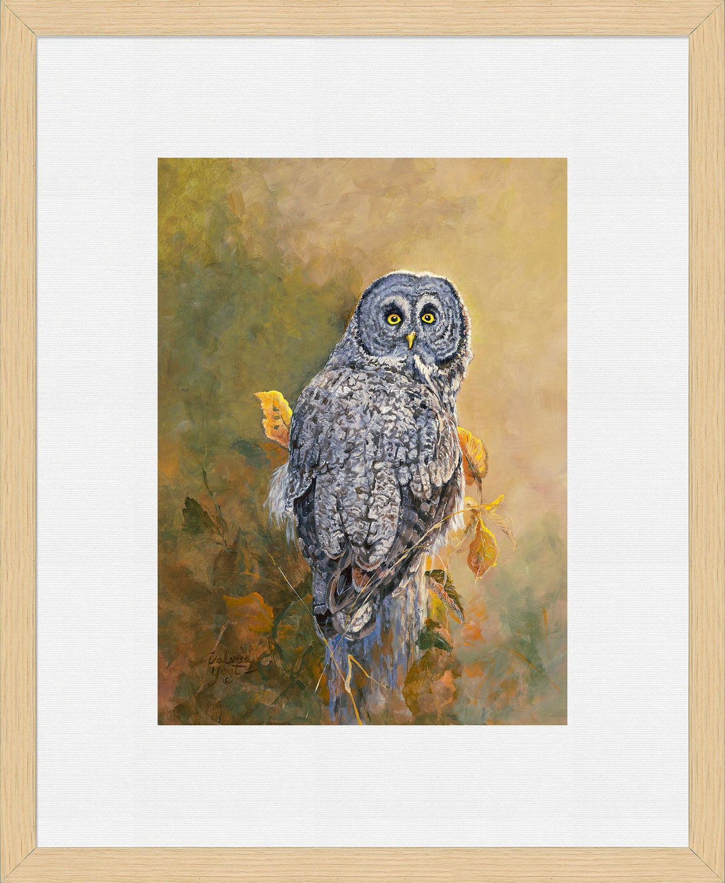 Great Gray Owl Limited Edition Paper Print - Wild Wings