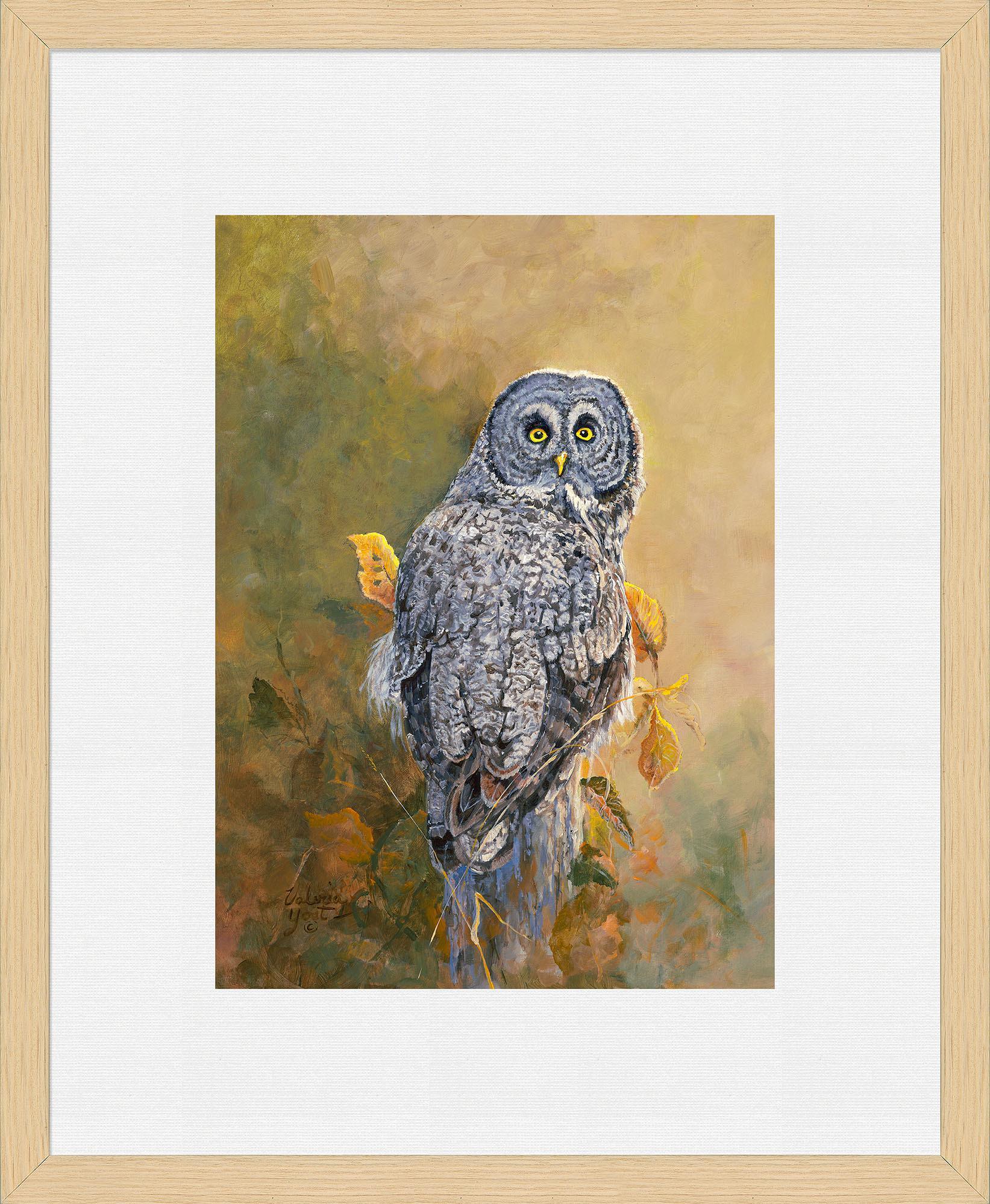 Great Gray Owl Limited Edition Paper Print - Wild Wings