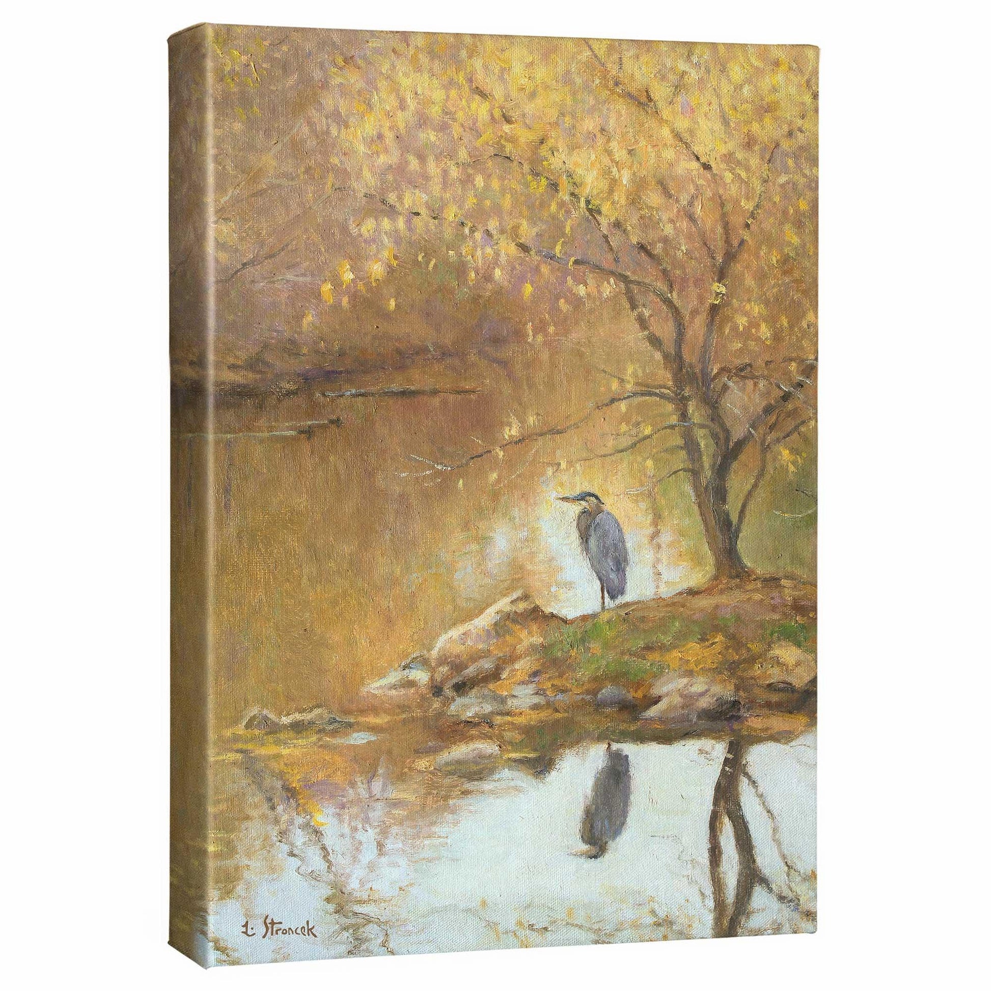 Heron Island Gallery Wrapped Canvas - Wild Wings