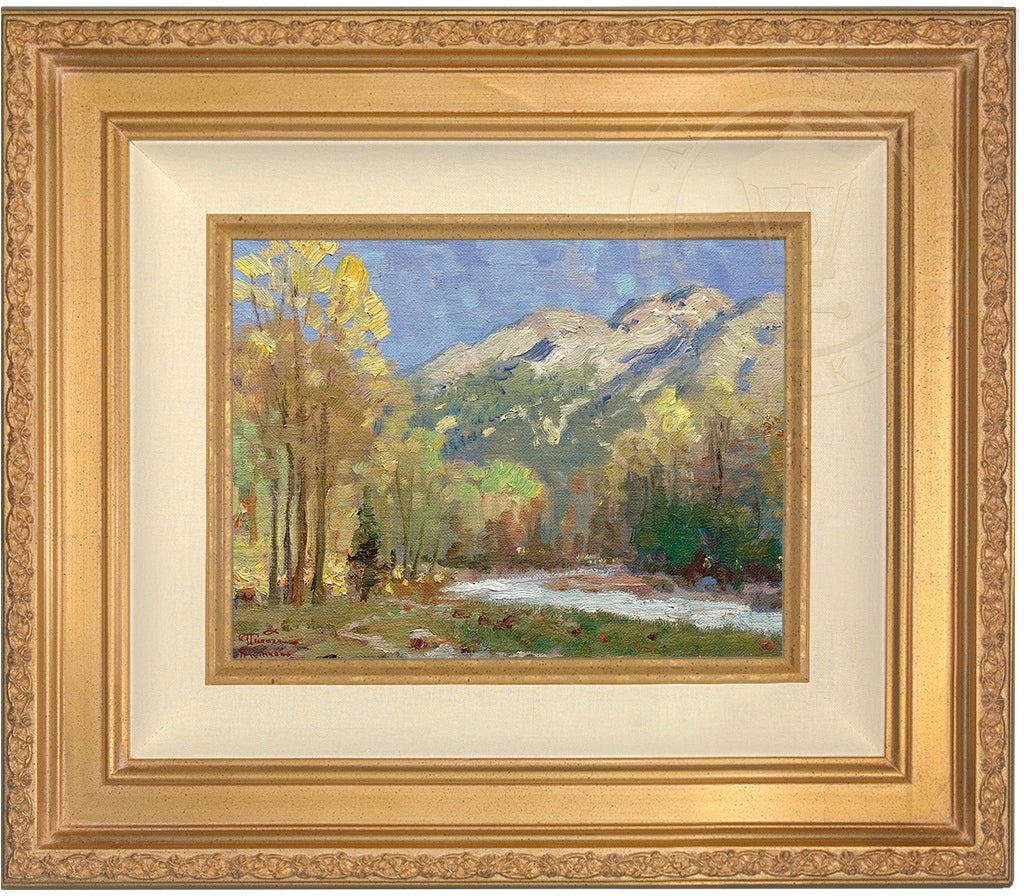 hicome_9x12_antgld.jpg