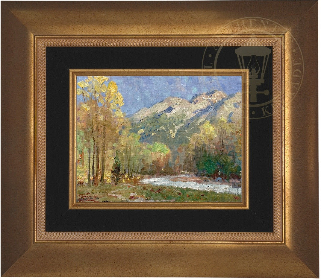 hicome_9x12_aurgld.jpg
