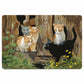 Hole in the Wall Gang—Kittens Floor Mat - Wild Wings