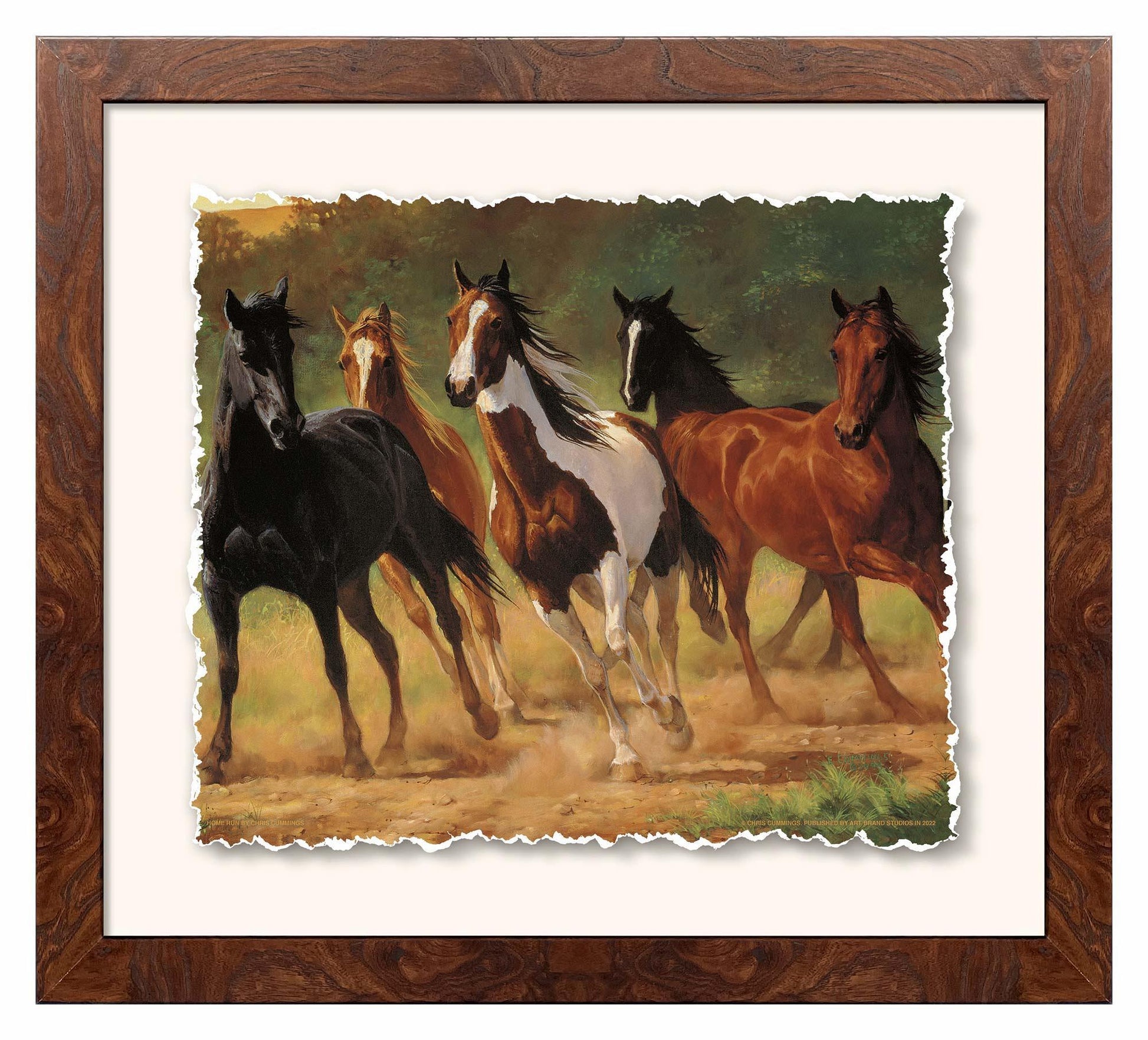 Home Run—Horses Deckled Edge Paper Print - Wild Wings